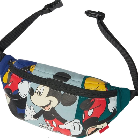 The Zipper Waist Bag